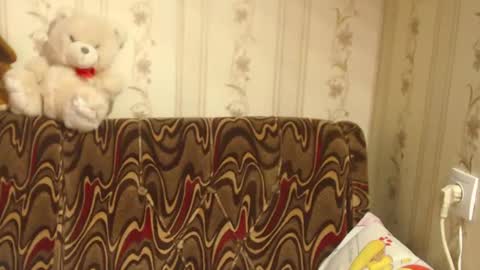 Snapshot of flowercandydoll chatting on 02/27/25, 08:50 say meow and send tip  online show from 02/27/25, 08:50