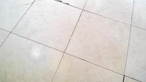 Snapshot of flyckers chatting on 09/13/25, 08:19 flyckers online show from 09/13/25, 08:19