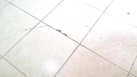 Snapshot of flyckers chatting on 10/06/25, 08:06 flyckers online show from 10/06/25, 08:06