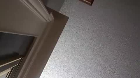 Snapshot of followthewhiterabbittail chatting on 10/02/25, 02:29 Have fun remembering u online show from 10/02/25, 02:29