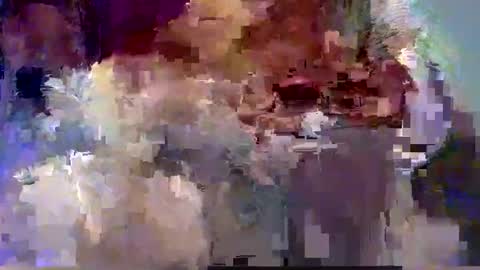 forest133 online show from 12/12/24, 07:59