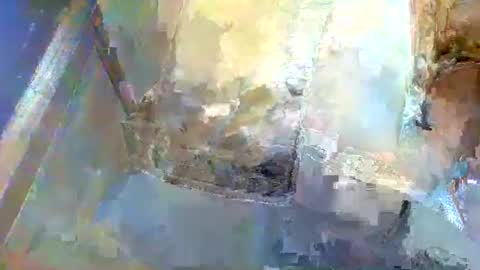 forest133 online show from 01/05/25, 01:36