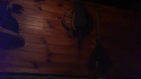 forest133 online show from 09/30/25, 08:58