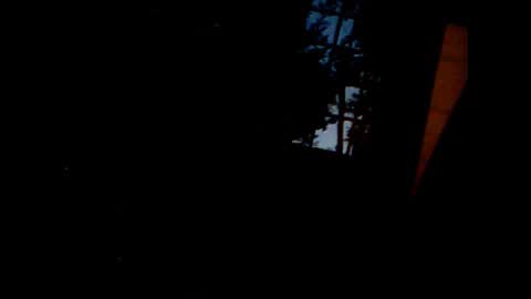 fra  71 online show from 02/22/26, 05:30