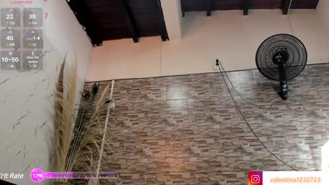         online show from 12/14/24, 06:56