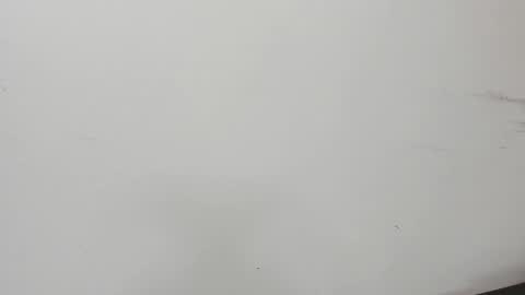 Fransheska online show from 03/08/25, 07:20