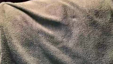 Fred online show from 11/02/25, 12:24