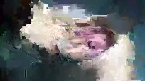 fredddy05 online show from 11/25/25, 05:51