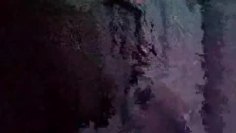 freeliv331874 online show from 11/17/25, 04:35