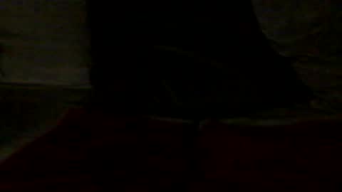 french_dick_20 online show from 06/13/26, 06:06
