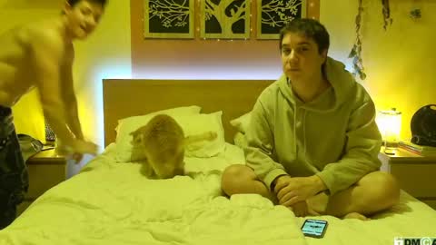 French Horny Bibs online show from 01/26/25, 08:02