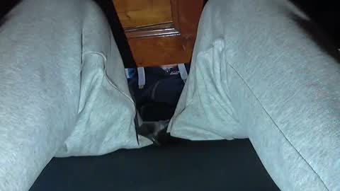 frenchpapalover online show from 10/31/25, 08:48