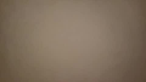 Snapshot of frenchsmoker29 chatting on 02/18/25, 04:05 frenchsmoker29 online show from 02/18/25, 04:05