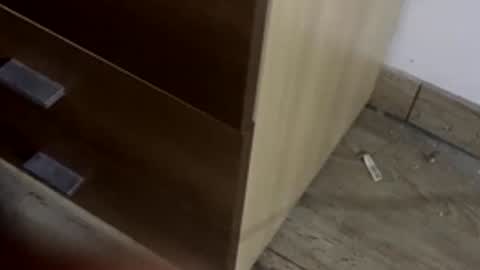 freshnarco online show from 12/21/25, 09:22