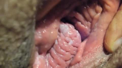 FrumCake online show from 01/04/25, 01:10