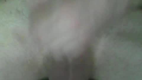 fry online show from 07/02/26, 05:41