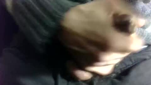 tugatito online show from 01/02/25, 08:24