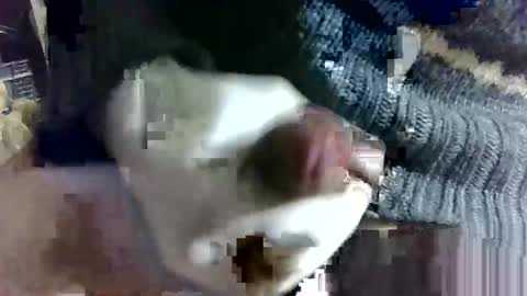 tugatito online show from 02/14/25, 09:13