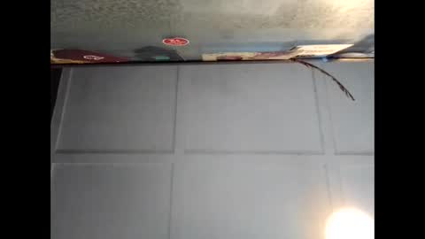 Warwick online show from 09/20/25, 02:56