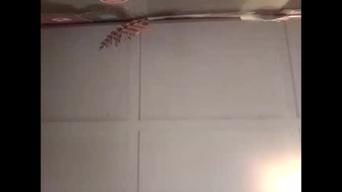 Warwick online show from 10/30/25, 11:16