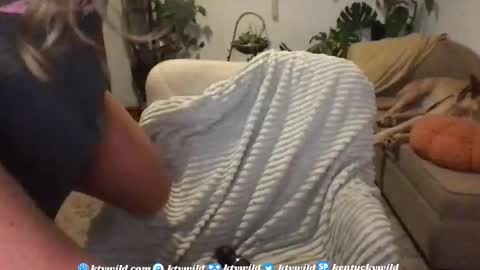   Thank you for visiting I hope you had fun 3 online show from 11/19/25, 10:54