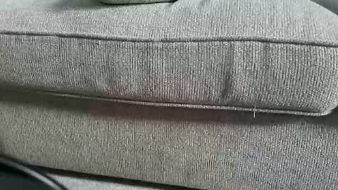 Snapshot of funcouple4282 chatting on 09/12/25, 12:27 marklaura online show from 09/12/25, 12:27