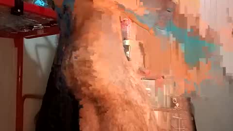 Italian men online show from 02/02/25, 02:24