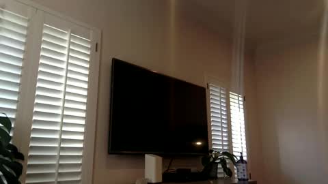 Snapshot of funtimes4us32 chatting on 12/12/24, 04:32 Funtimes4us32 online show from 12/12/24, 04:32