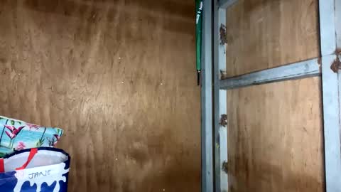 Snapshot of fvckingscarlet chatting on 11/23/25, 12:10 fvckingscarlet online show from 11/23/25, 12:10