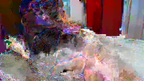 gaby  layla online show from 10/31/25, 10:33