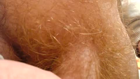 gae89tano online show from 02/12/25, 09:52