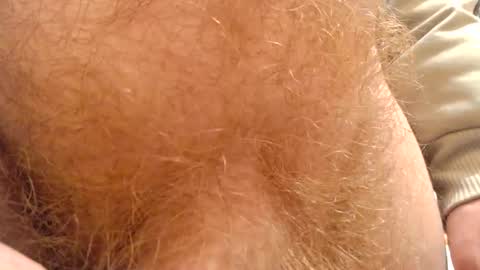 gae89tano online show from 02/13/25, 07:56