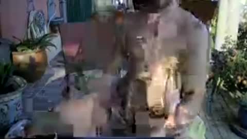 galleguin1 online show from 06/13/26, 06:39