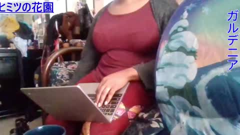 Gardenia online show from 12/02/24, 07:38