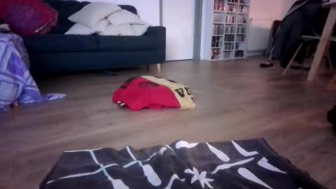 gaypuppychaste online show from 12/23/25, 04:32