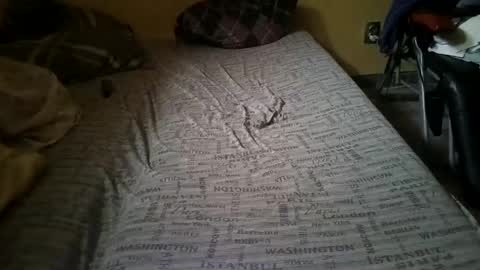 Snapshot of gazdadoka chatting on 02/14/25, 02:23 gazdadjoka online show from 02/14/25, 02:23