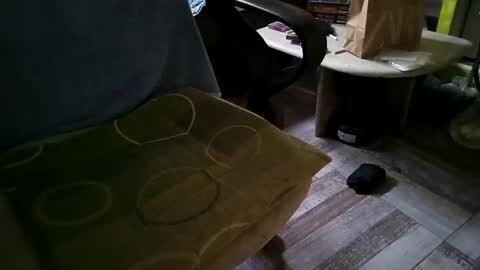 Snapshot of gazdadoka chatting on 03/12/25, 08:51 gazdadjoka online show from 03/12/25, 08:51