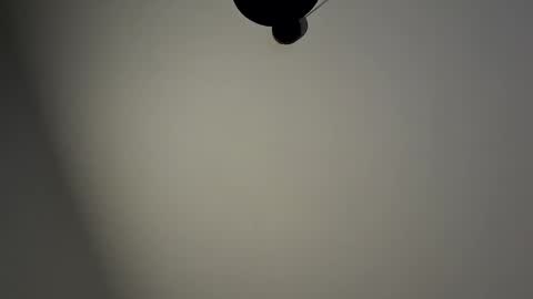 Snapshot of gazg1984 chatting on 01/29/25, 10:22 gazg1984 online show from 01/29/25, 10:22