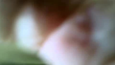 Snapshot of gazjones231 chatting on 11/16/25, 12:22 gazjones231 online show from 11/16/25, 12:22