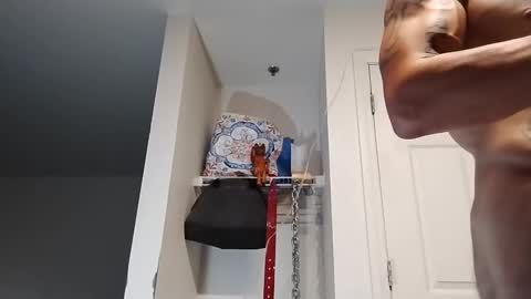 Snapshot of geekedoutlabs chatting on 09/13/25, 09:53 Zanecubano online show from 09/13/25, 09:53