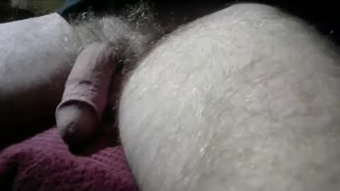gemini_2 online show from 12/08/24, 10:25