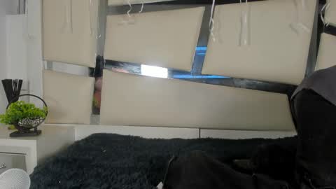 Genesis online show from 11/17/25, 03:34