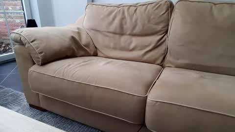 Gentle online show from 12/30/24, 10:43