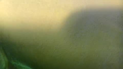 georgempt online show from 07/24/26, 09:46