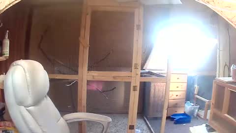 Snapshot of germany_50 chatting on 09/20/25, 06:36 germany_50 online show from 09/20/25, 06:36