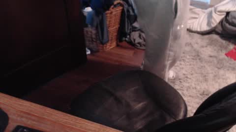 gethoggy online show from 01/25/25, 04:35