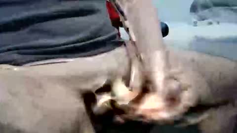 ghost1805 online show from 10/06/25, 10:29