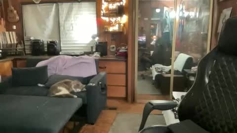 Snapshot of ghostboygbc chatting on 03/17/26, 03:33 ghostboygbc online show from 03/17/26, 03:33