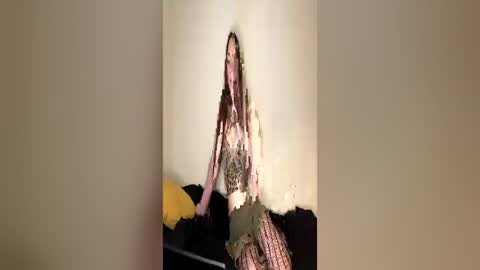 ghostpetal online show from 06/11/26, 11:14