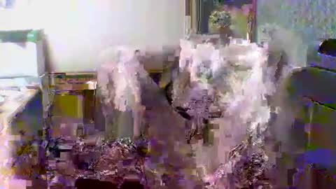 giann005 online show from 03/24/26, 03:28